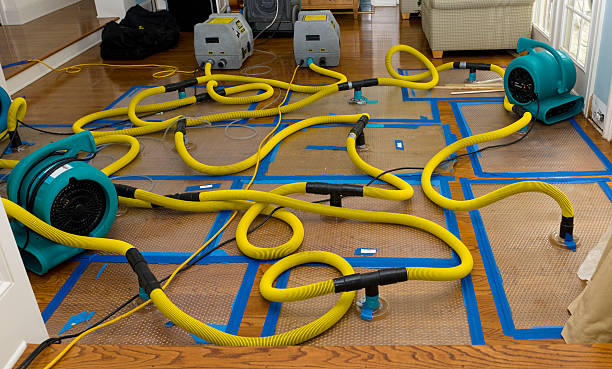 Professional Crawl Space Water Removal technician working in South Lyme, CT